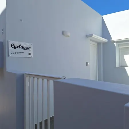 Cyclamen Hermoupolis