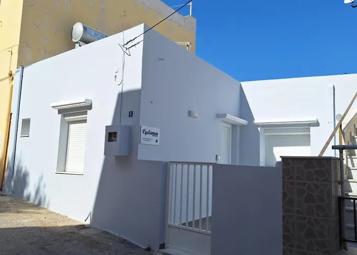 Cyclamen Hermoupolis Daire *